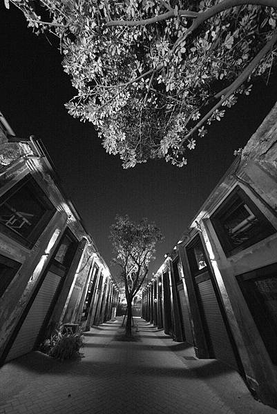 高雄駁二藝術特區Leica M-Monochrom Typ 246 夜之漫遊