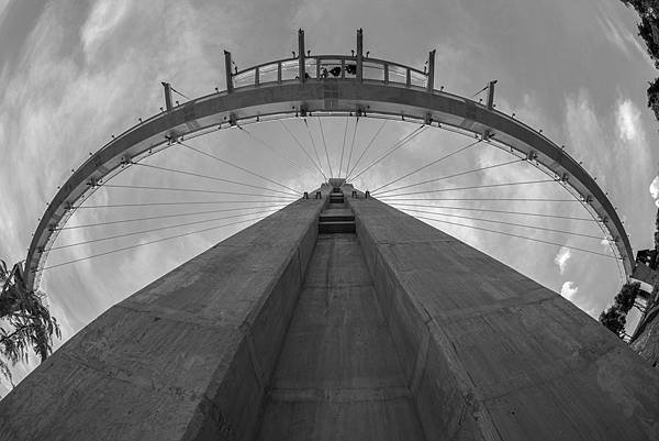 L1007794.jpg