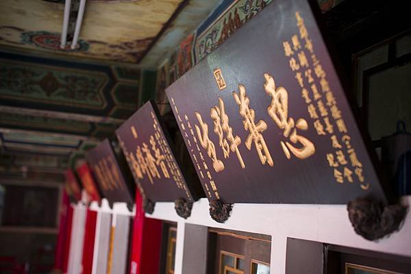 TTartisan 50mm F0.95平價夜神PK高價夜神