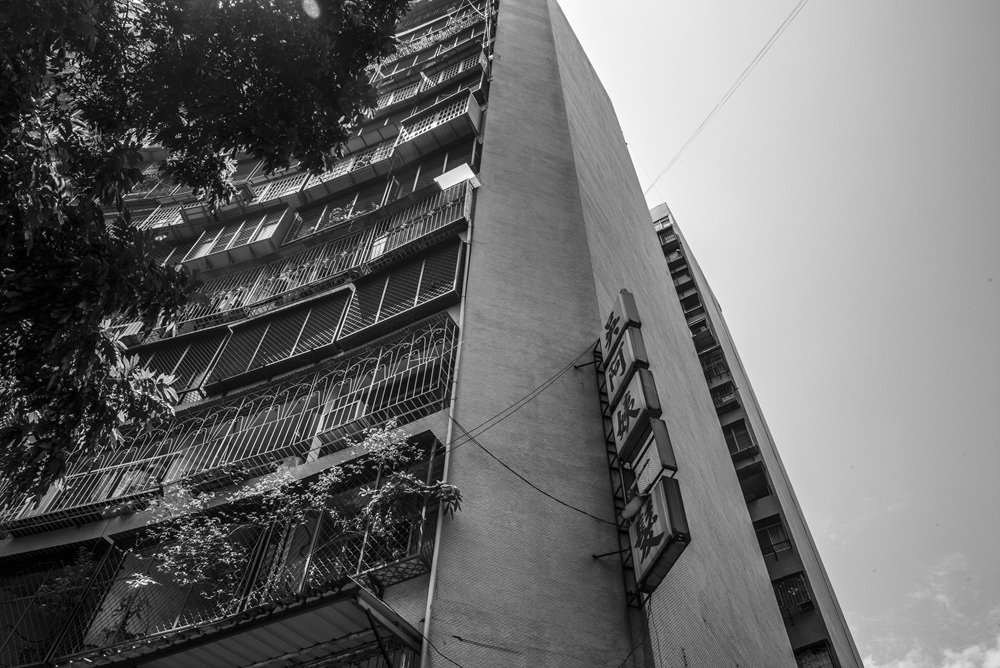 L1001442.jpg