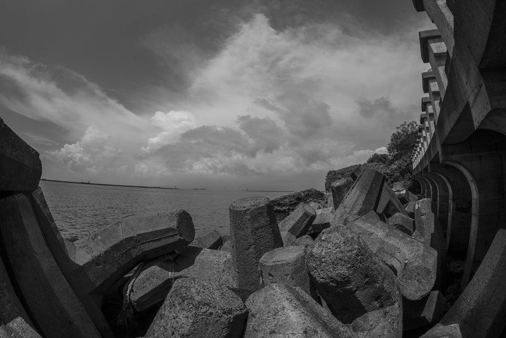 L1001677.jpg
