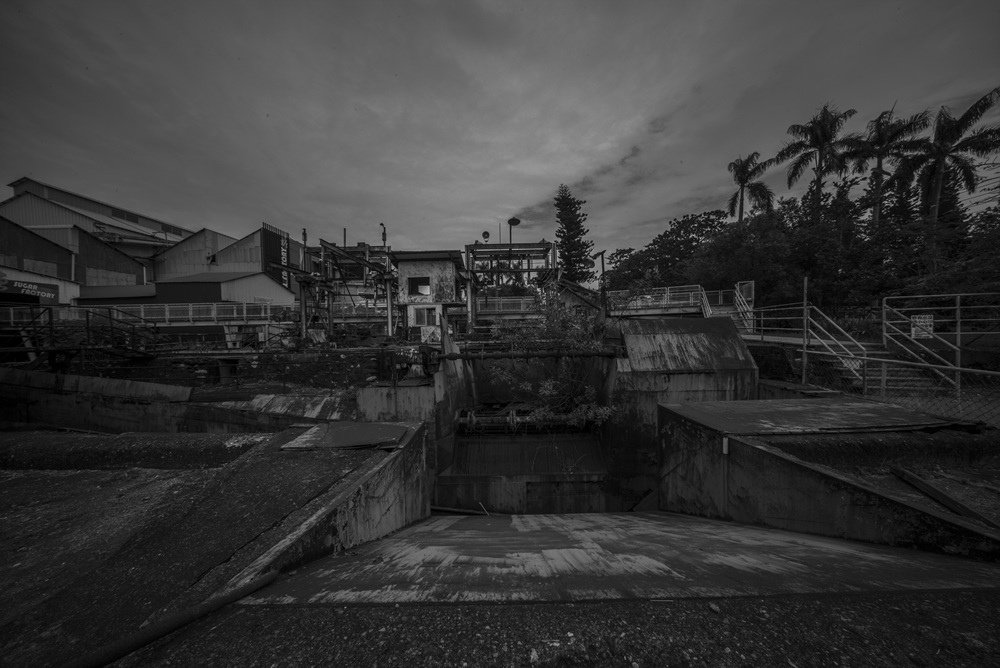 L1004064.jpg