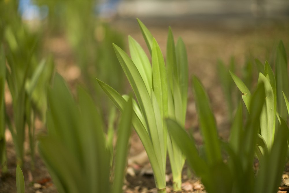 Ttartisan 90mm f1.25開箱測試文