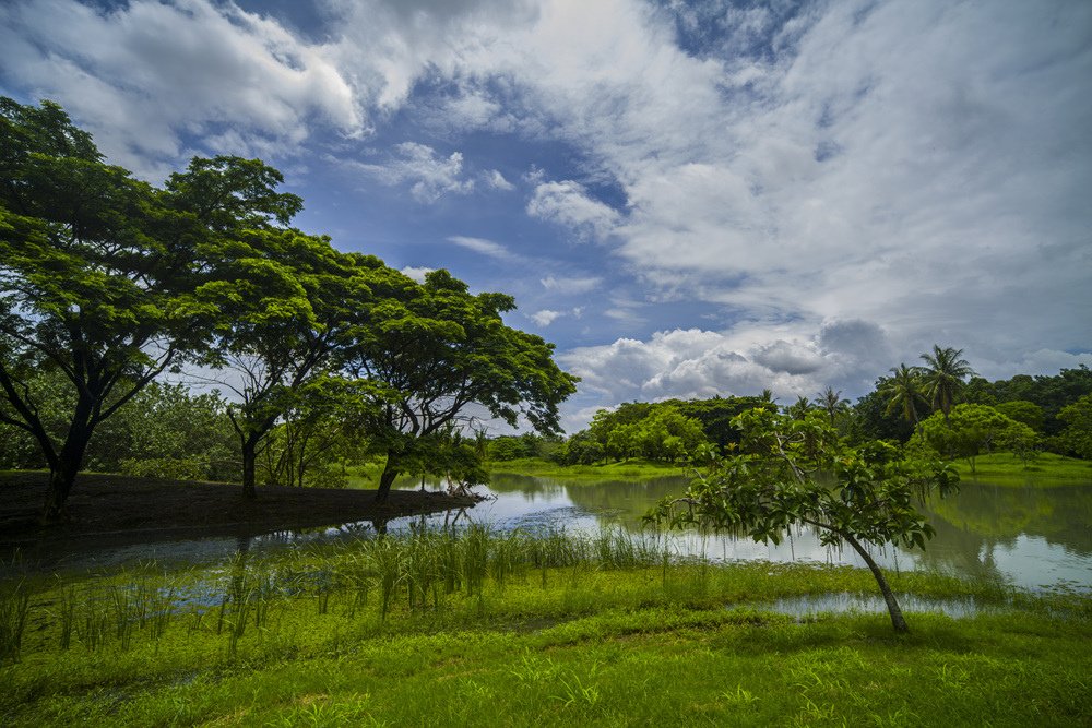 藍天白雲山水衛武營都會森林公園