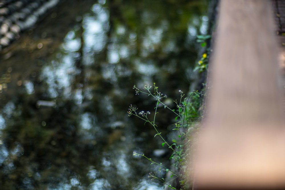 一百七十年的高雄鳳山曹公圳