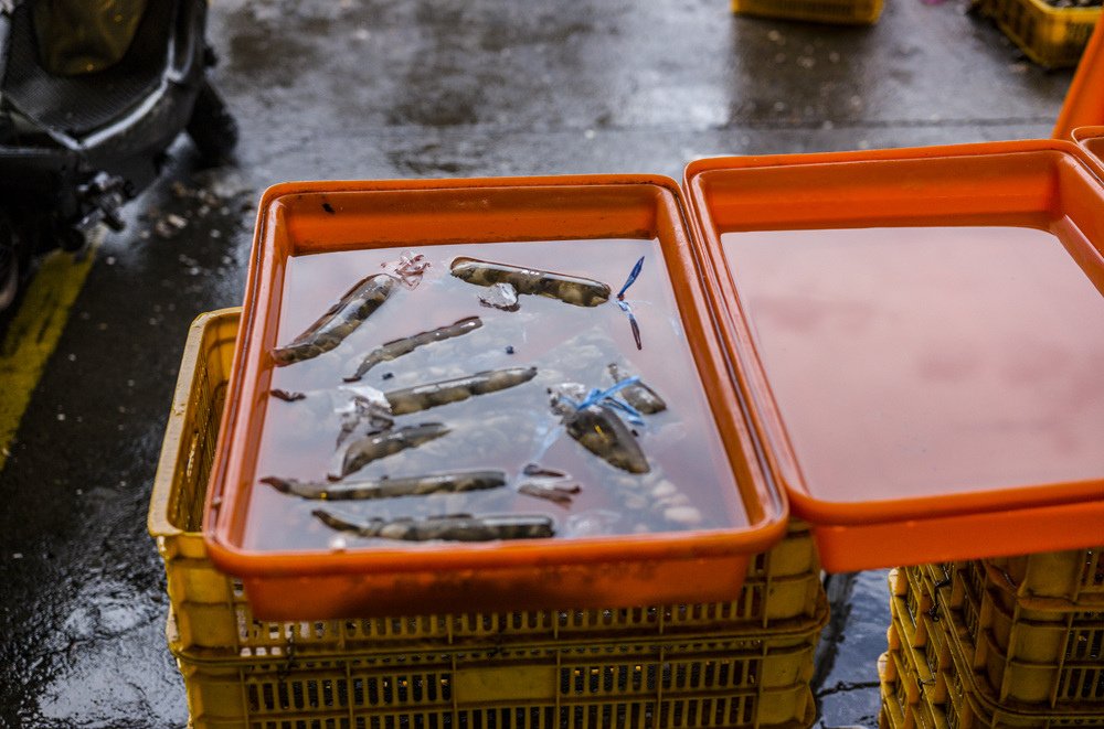 高雄前鎮魚市埸