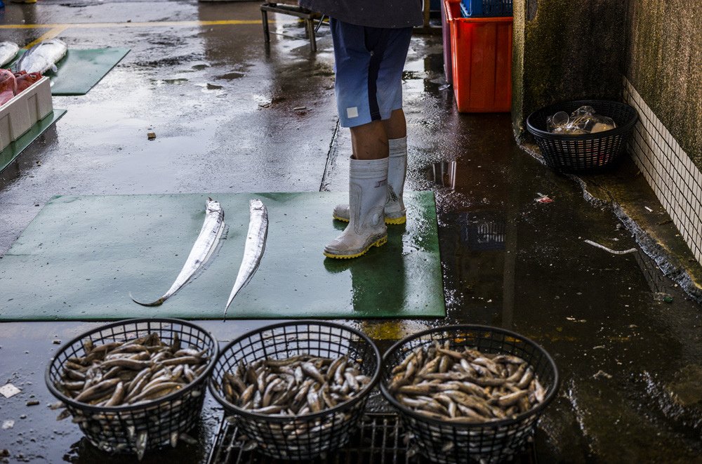 高雄前鎮魚市埸