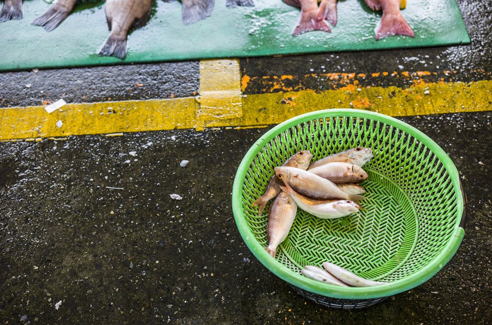 高雄前鎮魚市埸