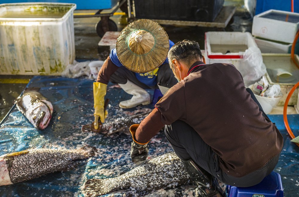 高雄前鎮魚市埸