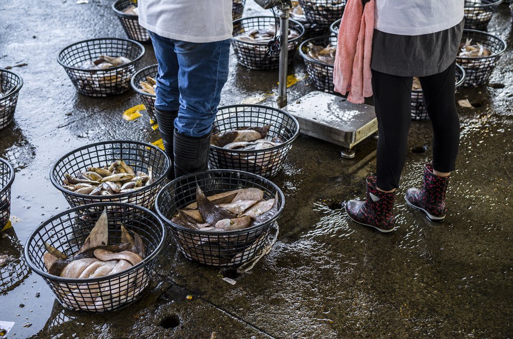 高雄前鎮魚市埸