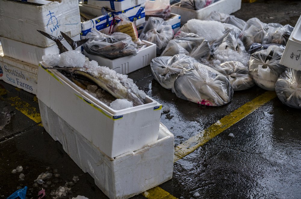 高雄前鎮魚市埸