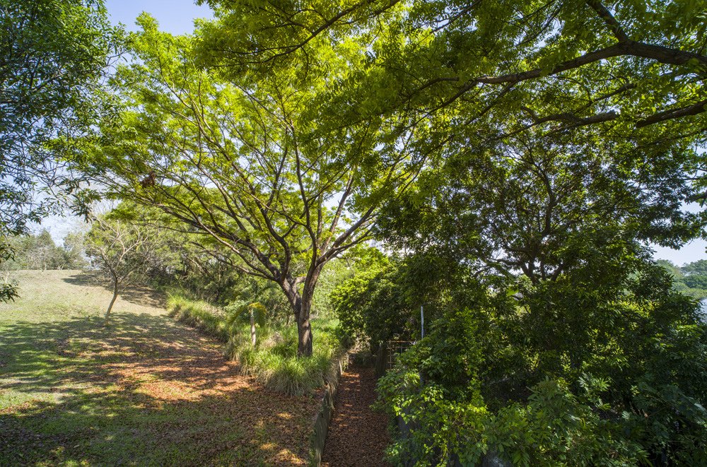 高雄鳳山熱帶園藝試驗分所