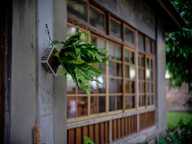 高雄眷村老屋咖啡廳驢子實驗室DONKEY LAB攝影分享