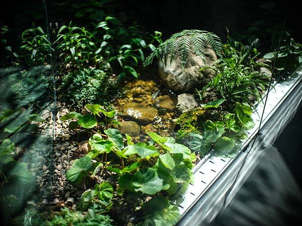 內惟藝術中心 - 高雄市立美術館