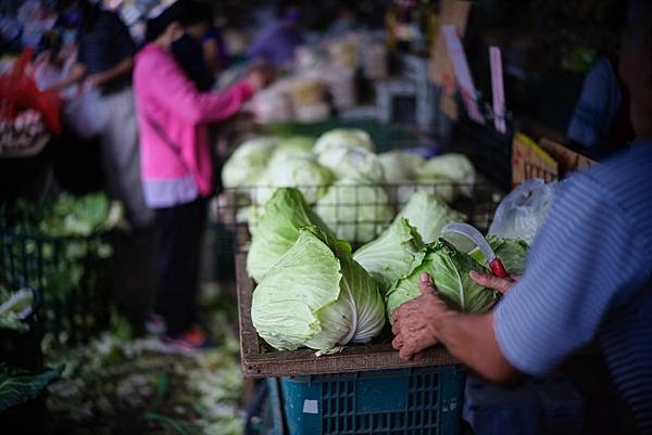 Voigtlander vm 50mm f1.2 轉接 FUJIFILM GFX50SII測試分享