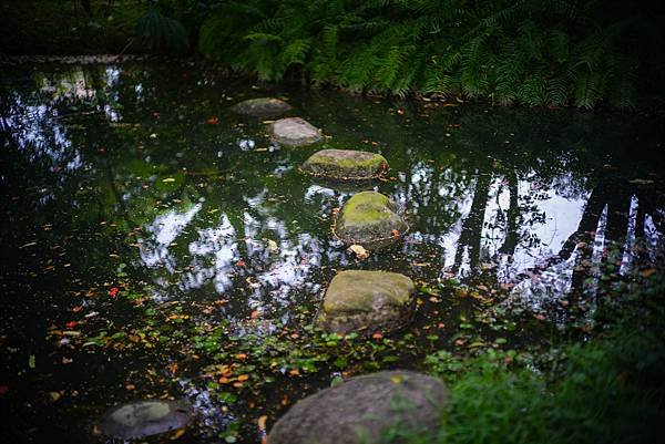 Voigtlander vm 50mm f1.2 轉接 FUJIFILM GFX50SII測試分享