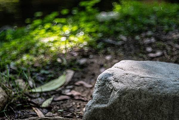 TTArtisan 100mm f2.8 &amp; Sony A7