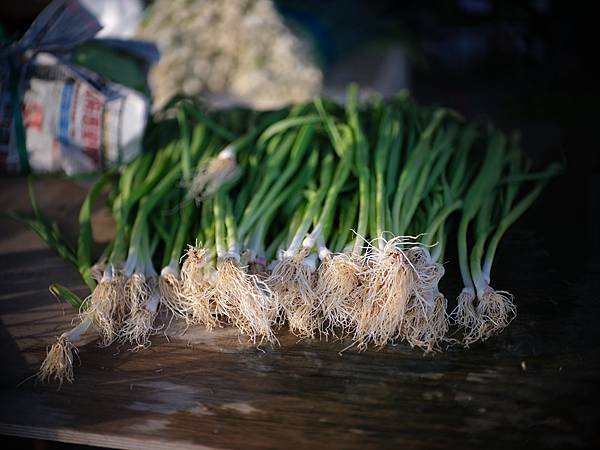 中一SpeedMaster 90mm f1.5 &amp; FUJI