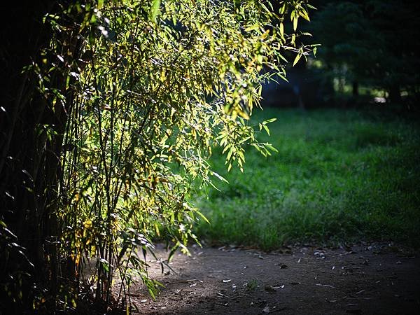 中一SpeedMaster 90mm f1.5 &amp; FUJI