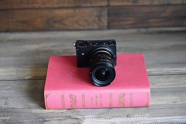 Laowa 12-24mm f5.6 轉接 SIGMA FP