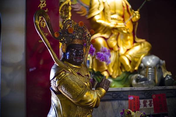 Laowa 12-24mm f5.6 轉接 SIGMA FP