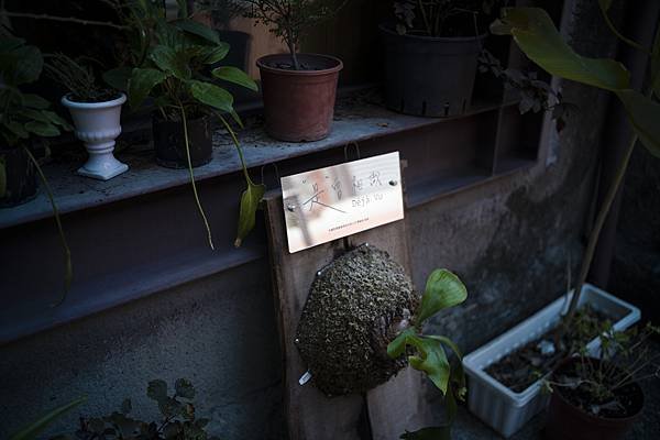 Leica APO-Summicron-M 35mm f2轉