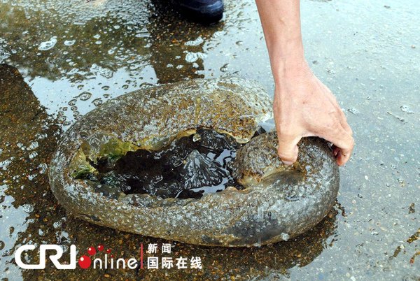 浙江醜水怪3