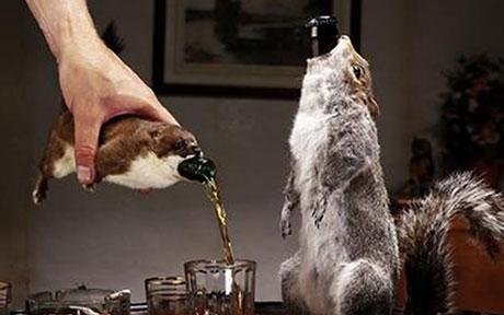 超駭人商品　英釀酒公司用動物屍體當酒瓶