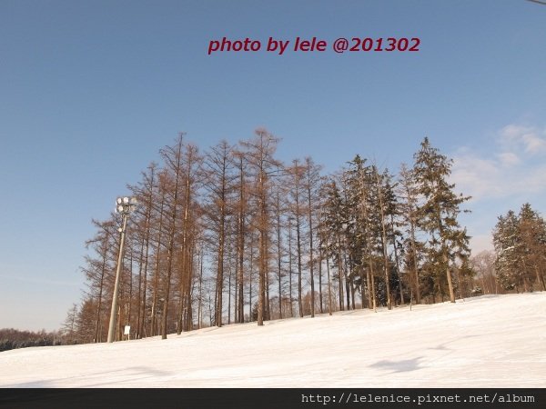 IMG_8801 (600x450)