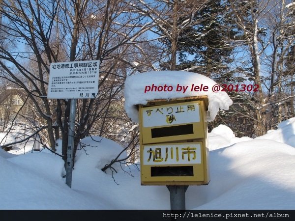 IMG_0740 (600x450)