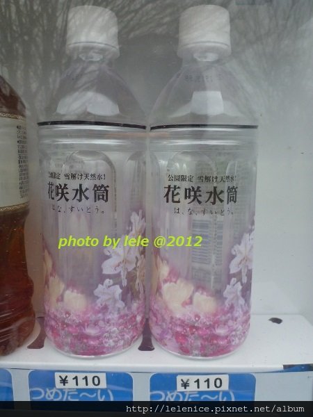 P1050662 (450x600)
