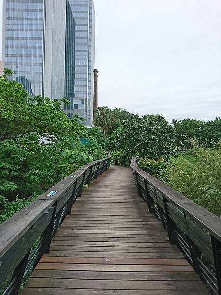 DSC_8916.JPG