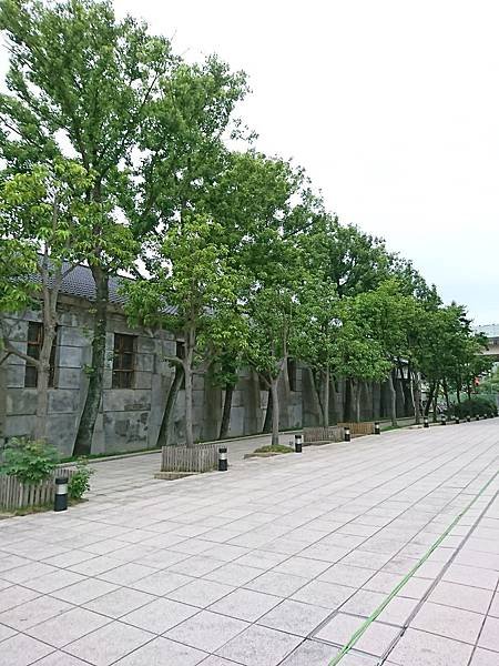 DSC_8946.JPG