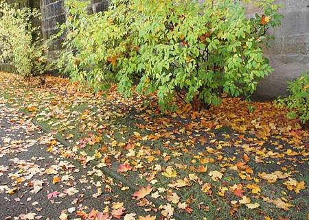 2013-10-30_164205
