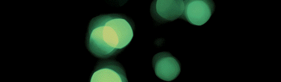 s7_1.gif