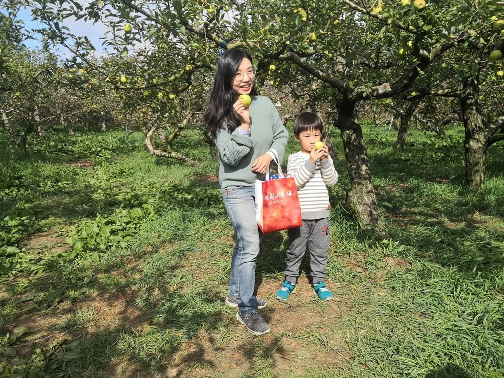 武陵農場到福壽山農場怎麼走? 坐公車/開車路線圖 開車交通資訊 公車資訊