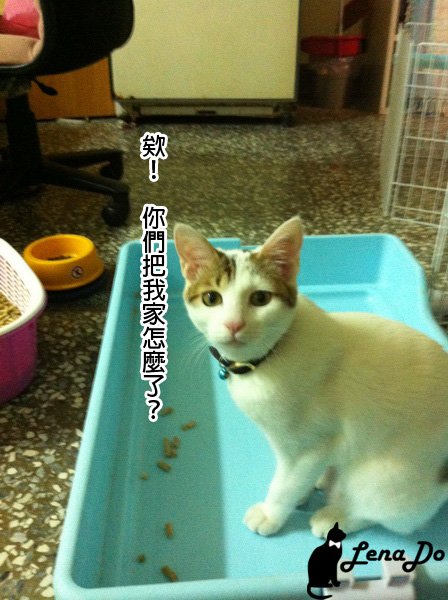 IMG_1206拷貝.jpg