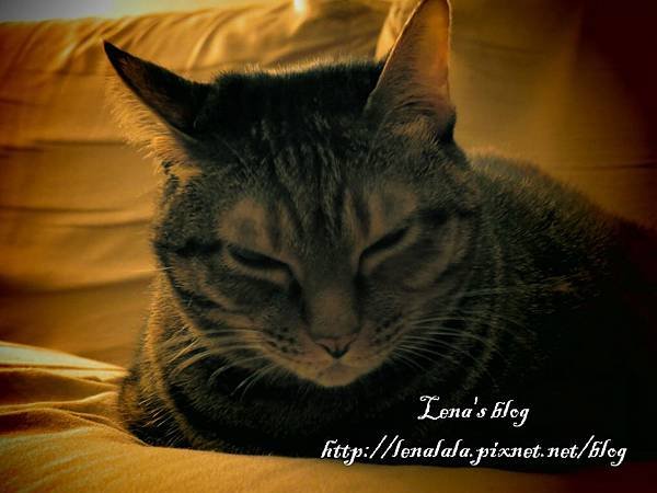 IMG_0079.jpg