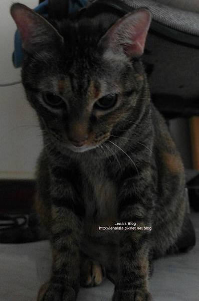 SAM_0199(1)
