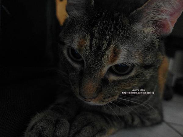 SAM_0203