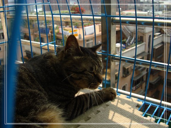 DSC02807.jpg