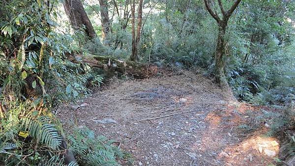 請輸入圖片標題
