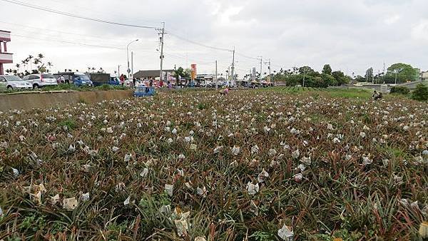 請輸入圖片標題