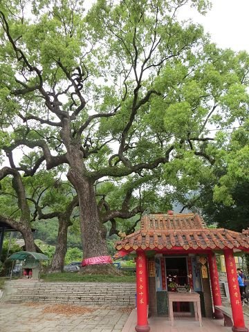 請輸入圖片標題