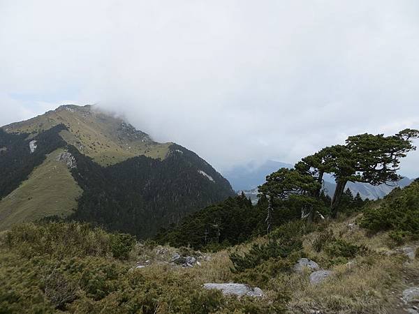 IMG_2823