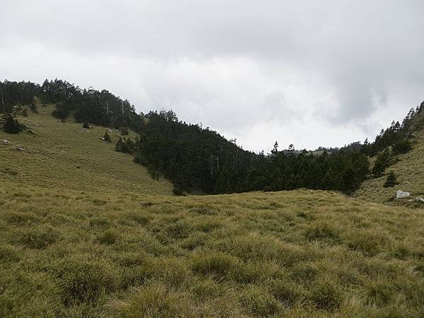 IMG_2892