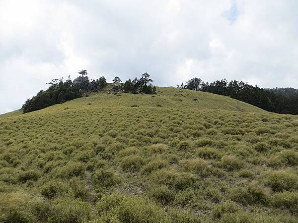 IMG_2882