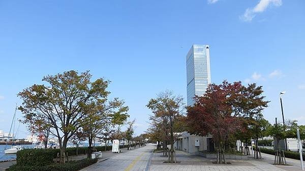 IMG_5959.jpg