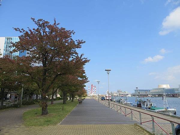 IMG_5976.jpg
