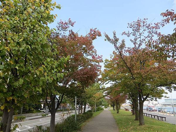 IMG_5977.jpg